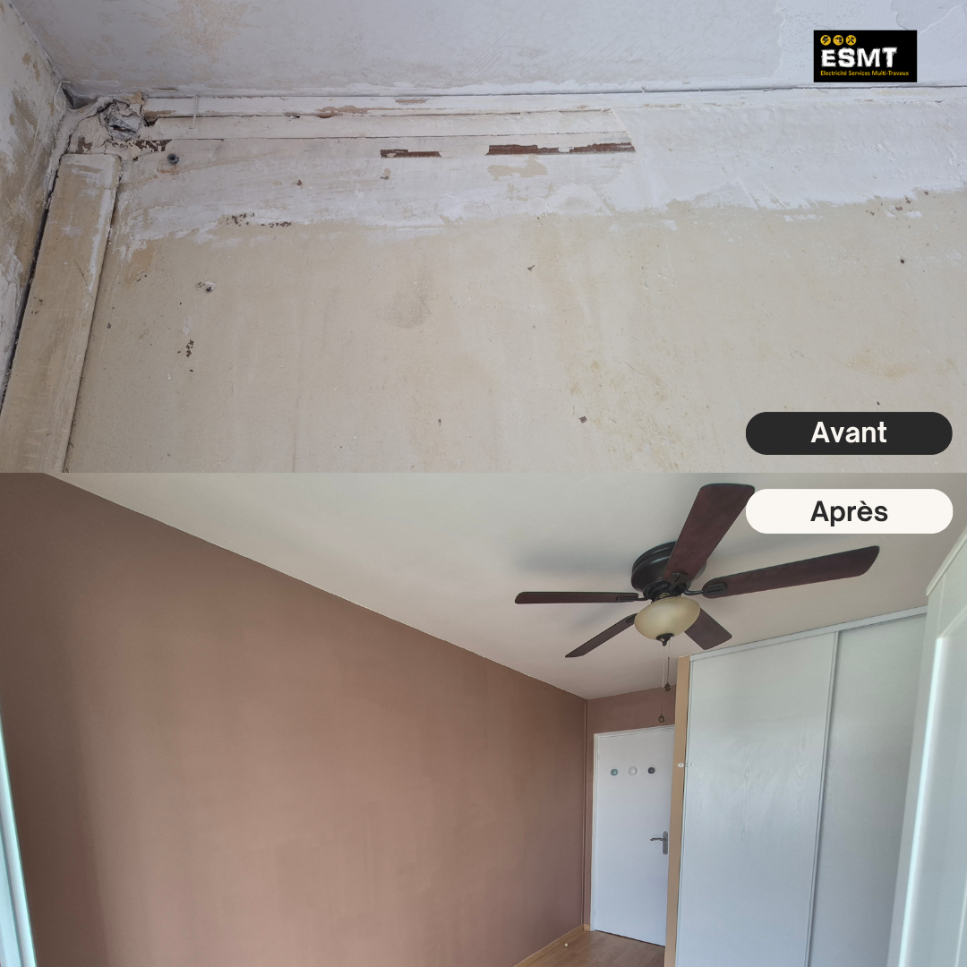 Renovation_mur_tassin